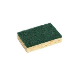 EPONGE VERT 13 CM X 9 CM X 10 GM