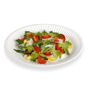 ASSIETTE CARTON Ø23 X100