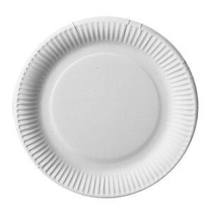 ASSIETTE BLANCHE CARTON Ø18 X100